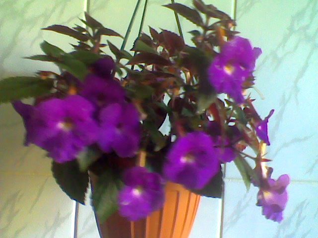 Imag049