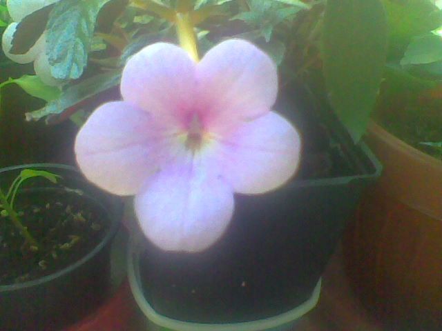 Imag054