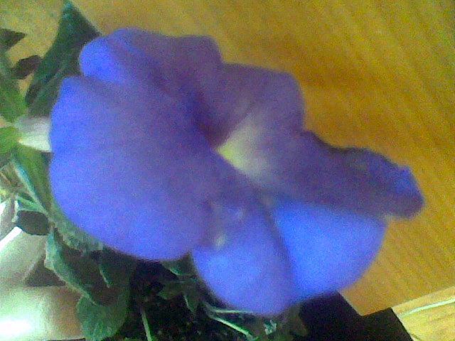 Imag057