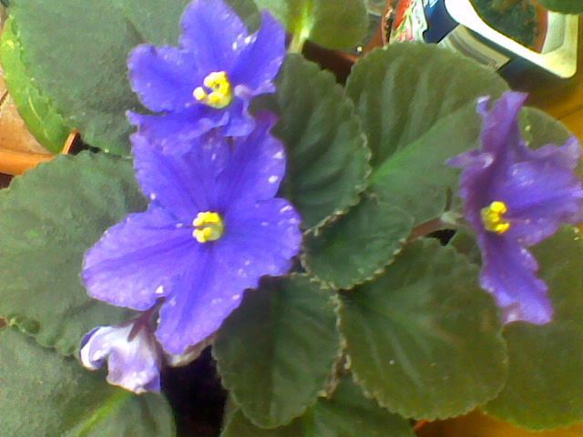 Imag059