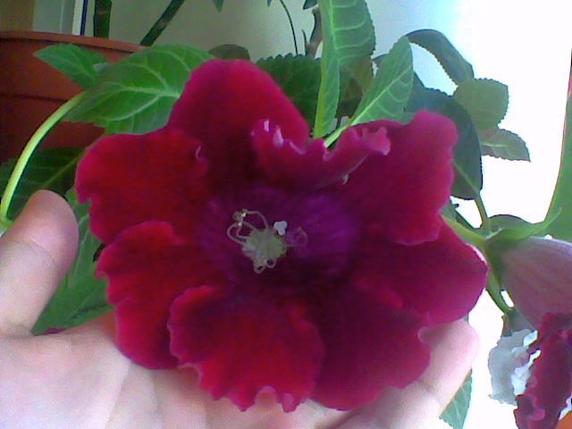 Imag060