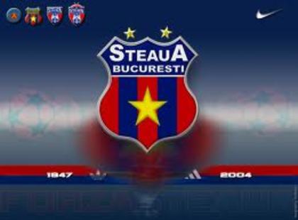 images (10) - fan steaua bucuresti