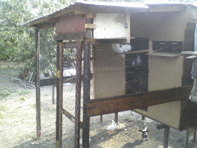 P22-07-11_18.58[1]
