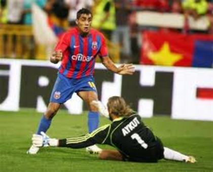 images (4) - fan steaua bucuresti