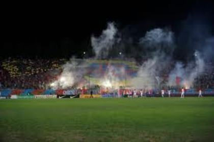 images (10) - fan steaua bucuresti