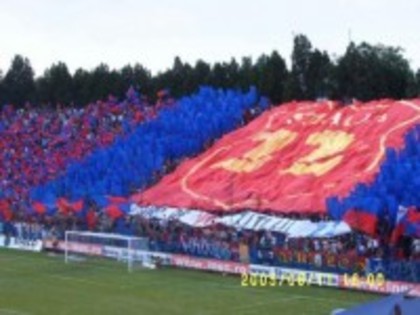 m_65 - fan steaua bucuresti