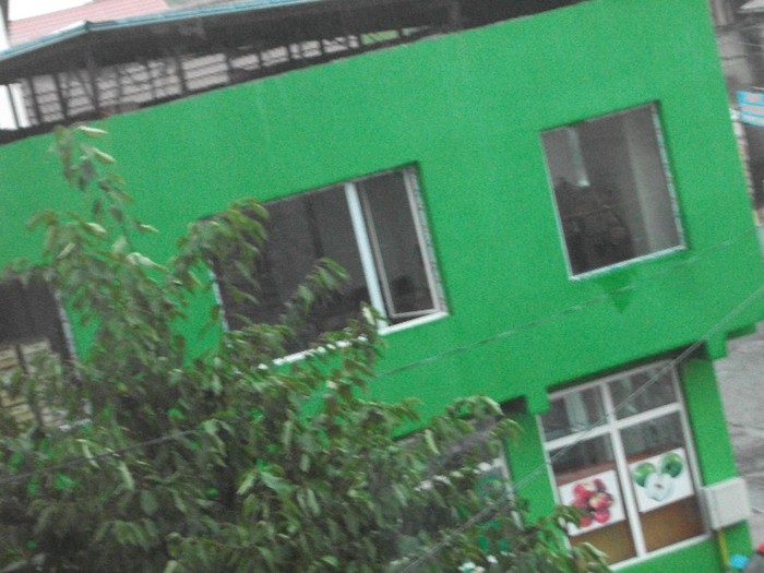 Casa verde-fructe si legume - Orasul meu TG-JIU  -  Judetul   GORJ