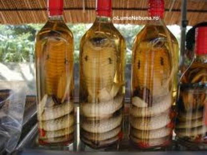 images (67) - poze serpi