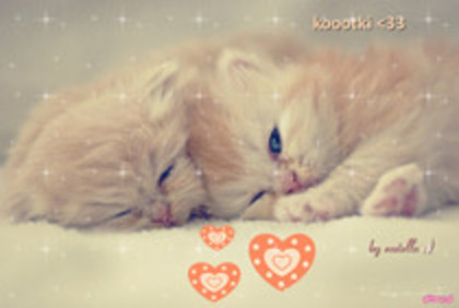 La scurt timp adormi si Chris. Dupa 1 ora, Kristen se trezi.