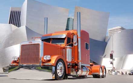 1229021941_tiruri013