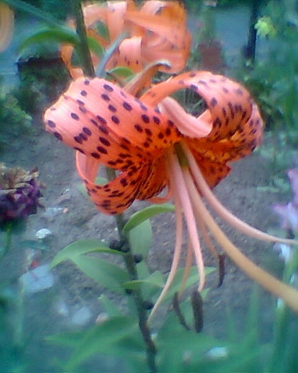 Fotogr.0235