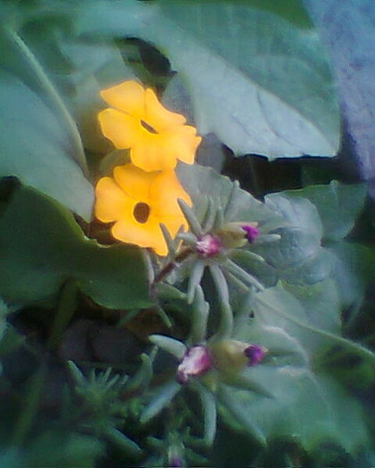 Fotogr.0230