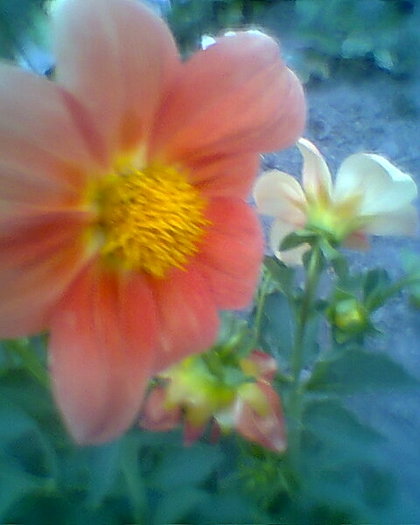 Fotogr.0244