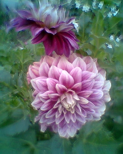 Fotogr.0245