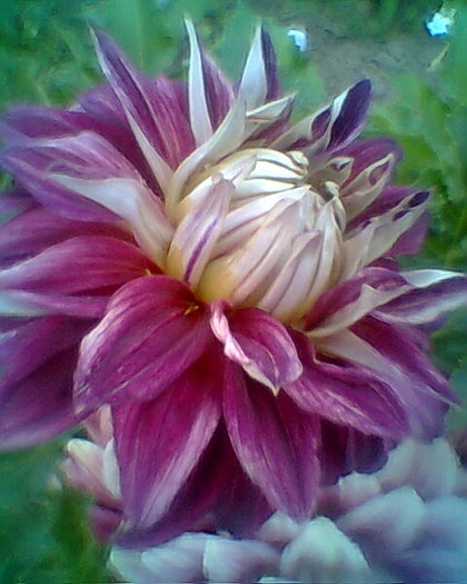 Fotogr.0247