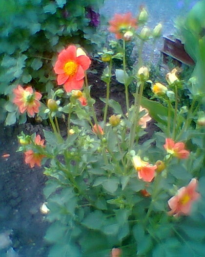 Fotogr.0263