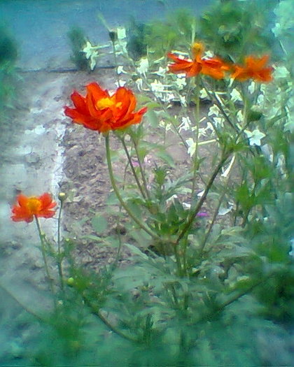 Fotogr.0239