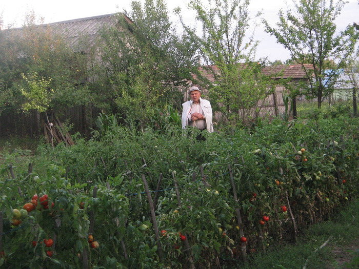 IMG_5216 - Gradina parintilor