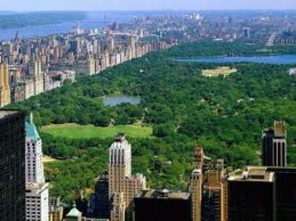 images (17) - poze new york