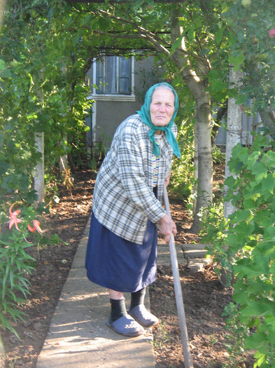 IMG_5219 - Gradina parintilor
