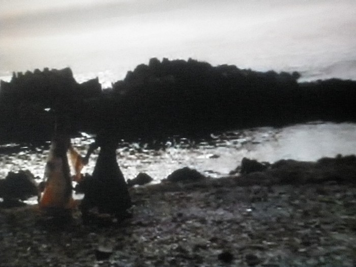 Suro (46) - 1 S-a terminat Kim suro