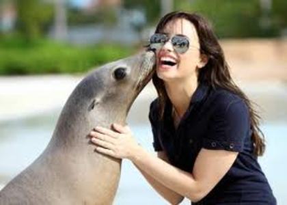 demi si foca - Demi Lovato