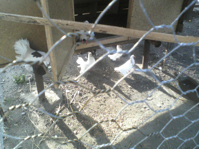 P22-07-11_18.59[2]