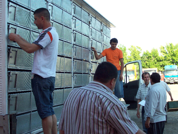 asc (49) - Aspecte de la imbarcari