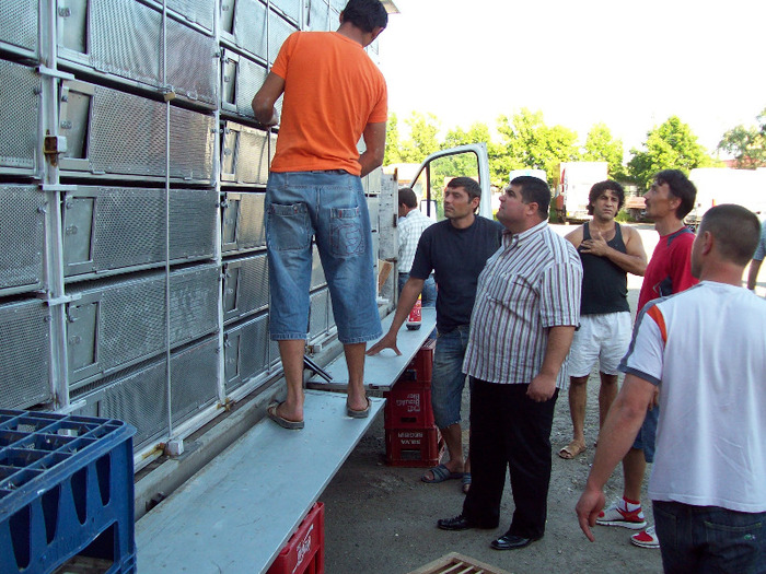 asc (56) - Aspecte de la imbarcari