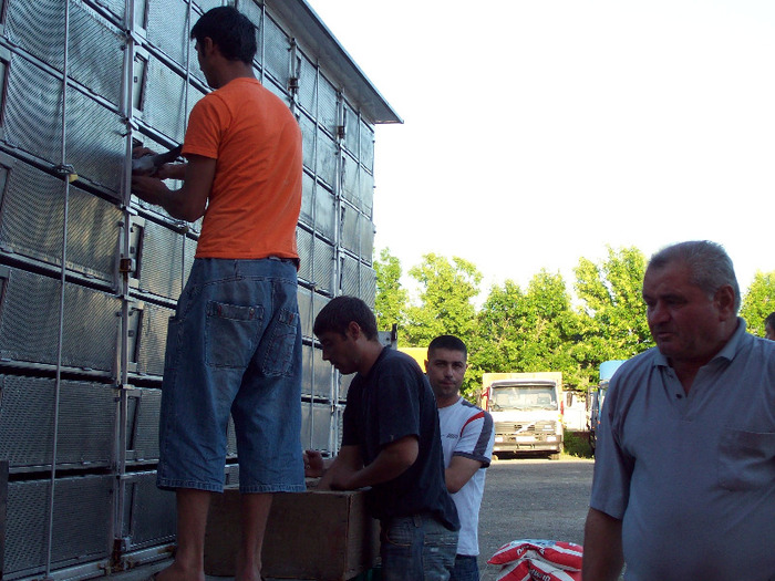 asc (72) - Aspecte de la imbarcari