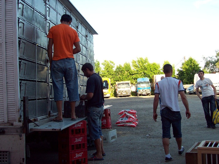 asc (74) - Aspecte de la imbarcari