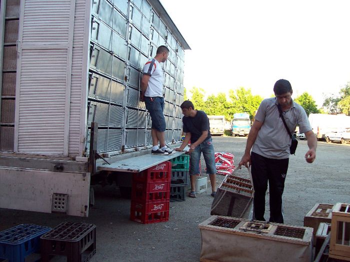 asc (77) - Aspecte de la imbarcari