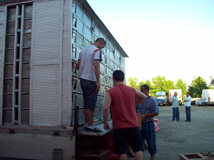 asc (78) - Aspecte de la imbarcari