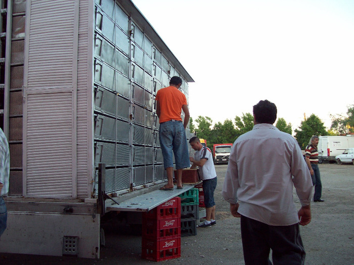 asc (87) - Aspecte de la imbarcari