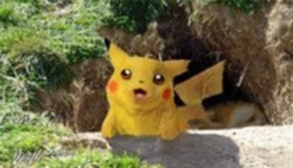 real picackhu - pokemoni