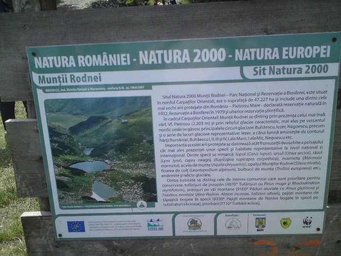 M-tii Rodnei - BORSA iulie 2011