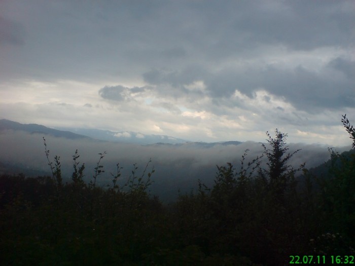 DSC04236 - BORSA iulie 2011