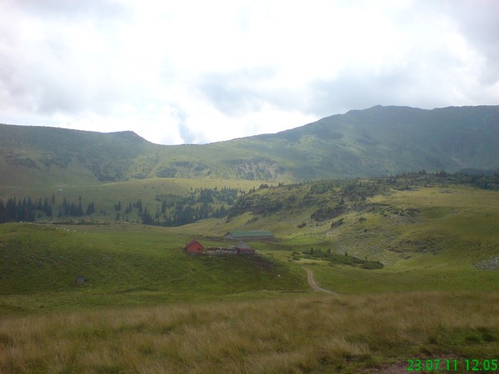 M-tii Rodnei - BORSA iulie 2011