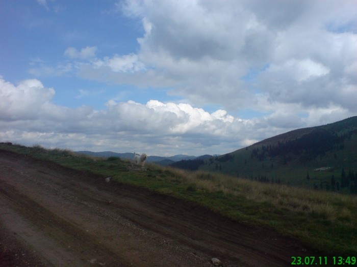 DSC04289 - BORSA iulie 2011