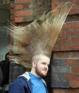 images (29) - poze rare