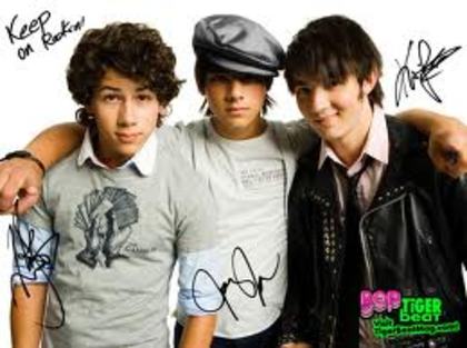 jonas brothers cu autografe - Jonas Brothers