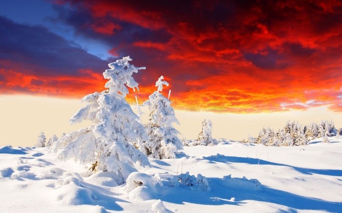 amazing_winter_sunset - Peisaje1