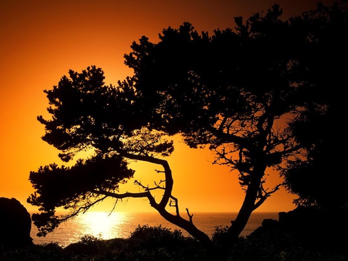 Patrick\'s Point State Park at Sunset, Near Eureka, California - Peisaje1