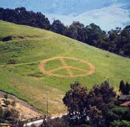 semnul pacii pe iarba