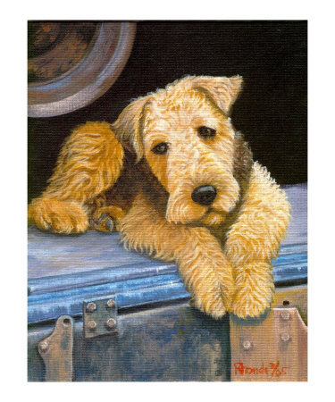 2(Airedale Terrier)