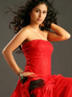 1-5450354-8901-t - Akshara