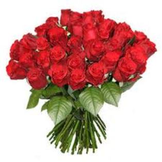 plictisealadescoalaLOL