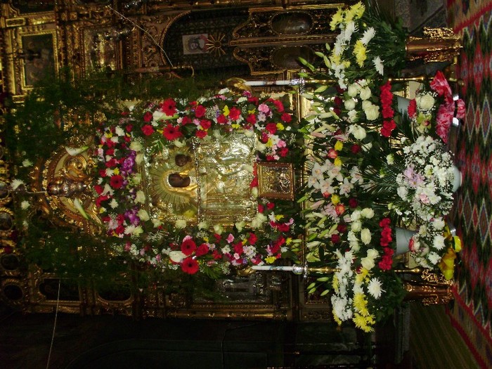 Ely - 0 Alege o floare 0