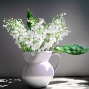 flori frumoase (57) - 0 Alege o floare 0