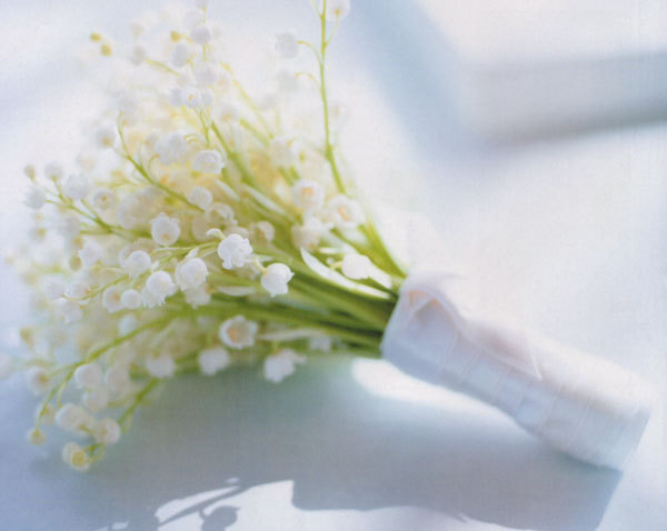 flori frumoase (89) - 0 Alege o floare 0